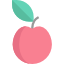 apple (1)